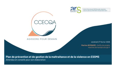 PLAN PREVENTION VIOLENCE EN ESMS